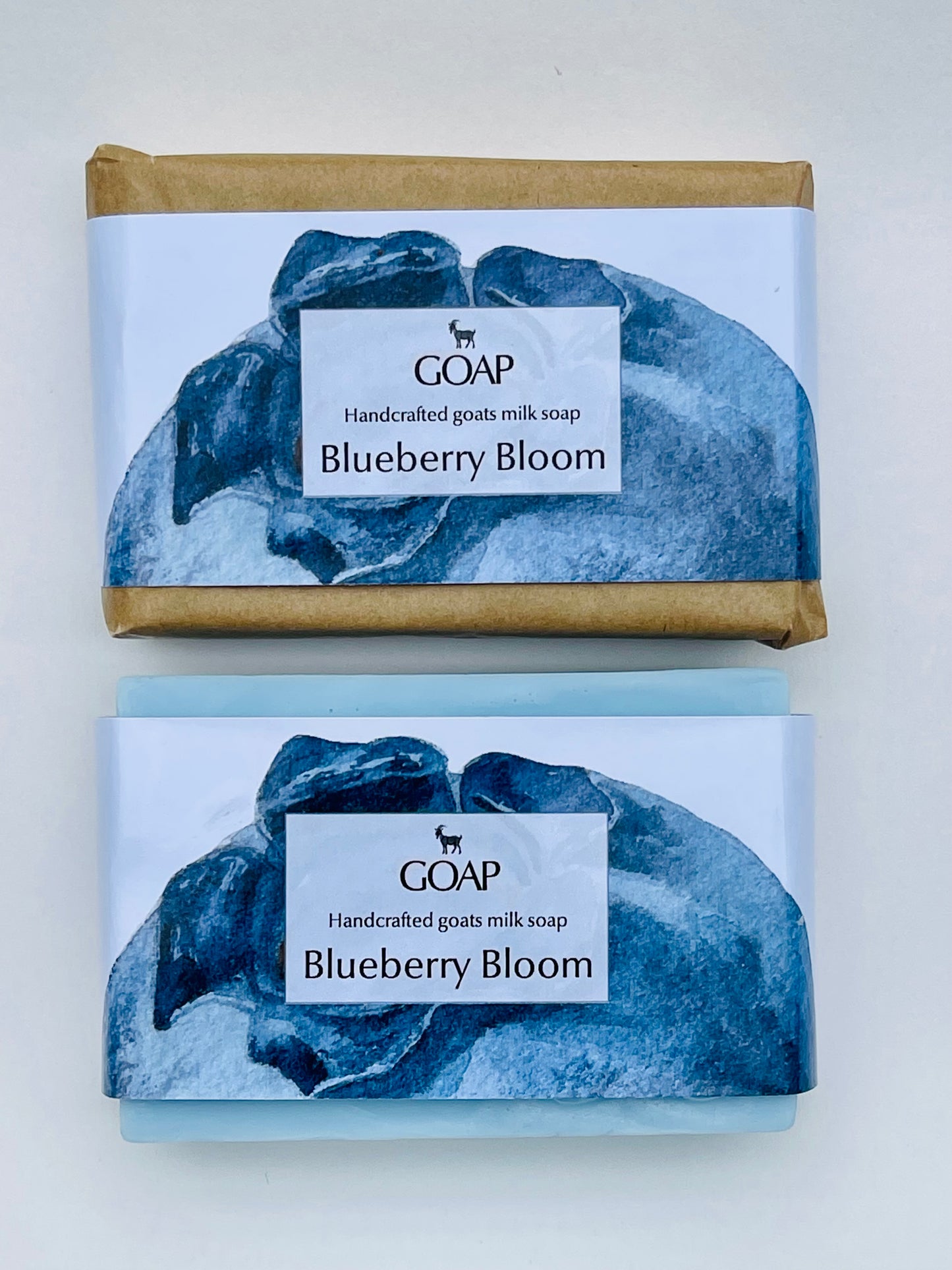 Blueberry Bloom